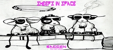 SHEEPS IN SPACE