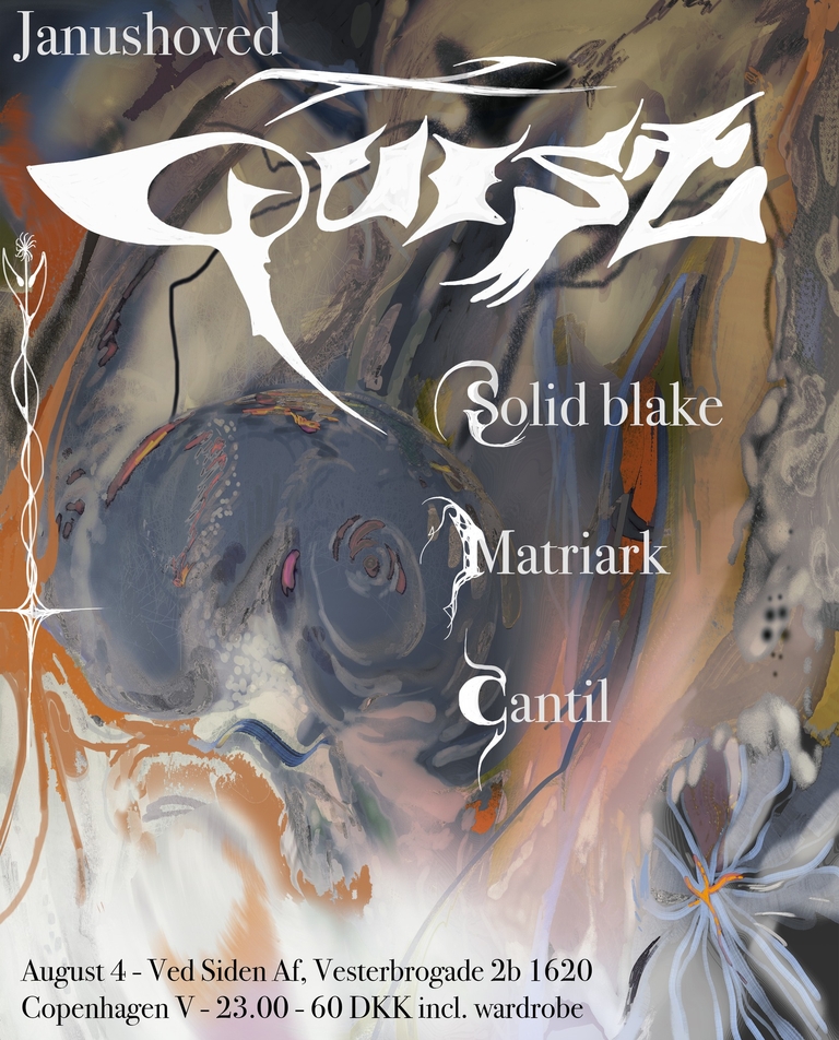 Janushoved x Quest @ VSA