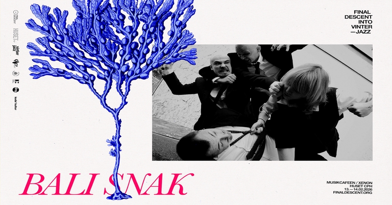 Final Descent Into Vinterjazz: Bali Snak (DK)