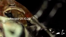 Affected ⥋ Ved Siden Af