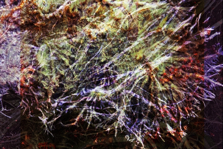 Ezy - Root Zone Release