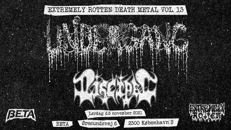ERDM Vol. 13: Undergang + Discipel - BETA