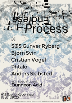 Endless Process // Label Night // SØS Gunver Ryberg ~ Bjørn Svin ~ Cristian Vogel ~ Phtalo ~ Anders
