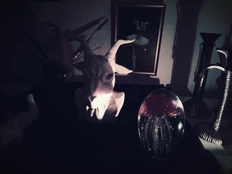 Klub naive Vol .5 - The Black Sheep Collective - RWCA - TBA - TBA