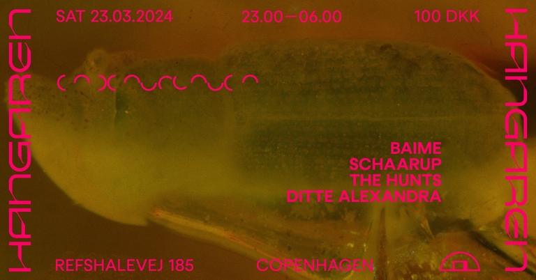 Baime, Schaarup, The Hunts, Ditte Alexandra