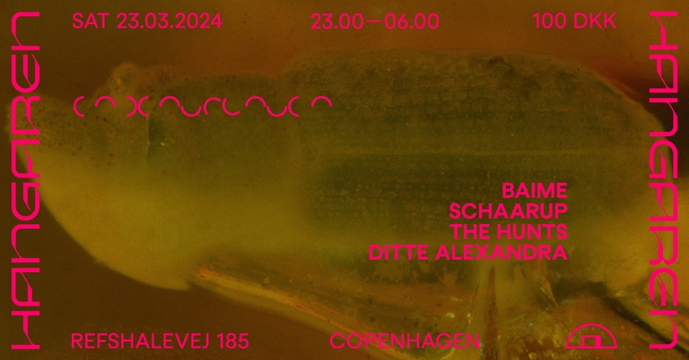 Baime, Schaarup, The Hunts, Ditte Alexandra