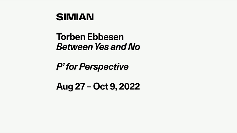 Opening: Torben Ebbesen / P' for Perspective