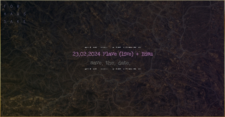 For Haus' Sake w/ Flave (live) + bīsu