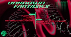 MODULE X UNKNOWN FANTASIES / FAIDE (UK) / BAIME / VIKTORNOTVICTOR (SE) / MATISSE