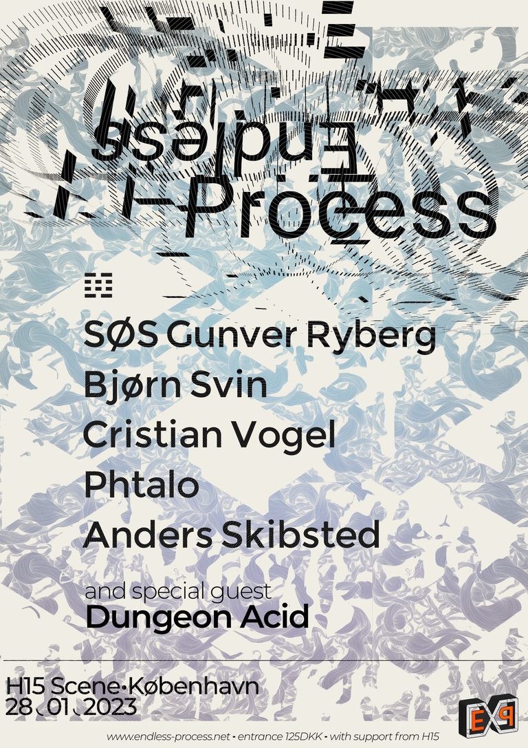 Endless Process // Label Night // SØS Gunver Ryberg ~ Bjørn Svin ~ Cristian Vogel ~ Phtalo ~ Anders