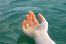 FERNISERING: KBH FILM & FOTOSKOLE