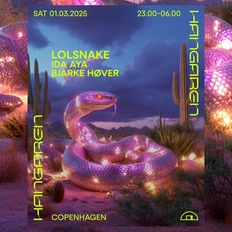 LOLSNAKE (US/IRQ), Ida Aya, Bjarke Høver