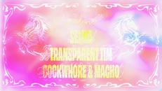 Selma, Cockwhore & Macho, Transparent Tim