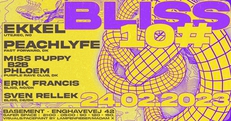 BLISS #10: Ekkel (Ute.Rec) - Peachlyfe (Fast Forward) (...)