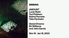 Opening: AMOUNT / Sweet Dreams