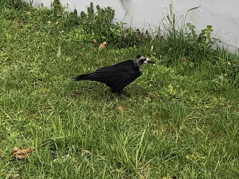 K-TOWN / UTEUS MATINÉE