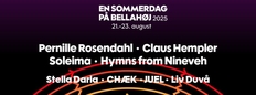En Sommerdag på Bellahøj