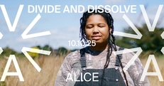 Divide and Dissolve (AU) at ALICE