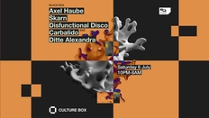 Axel Haube / Skarn / Disfunctional Disco B2B Carbalido / Ditte Alexandra