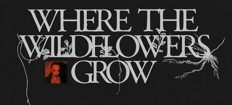 'In Atlas' Album Release