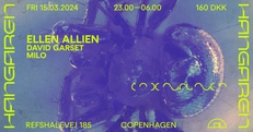 Ellen Allien (DE), Milo, David Garset