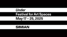Opening: Under - Festival for Art Spaces