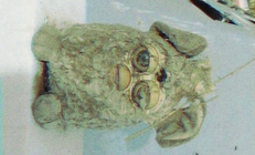 Totentanz x Kalabalik på Tyrolen Warm Up x Albert Severin x Ætervader