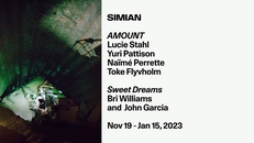Opening: AMOUNT / Sweet Dreams