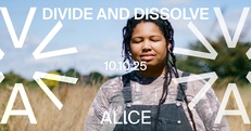 Divide and Dissolve (AU) at ALICE