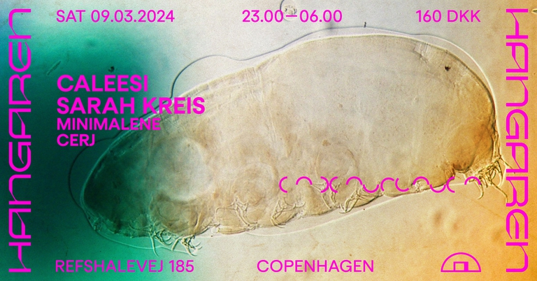 Caleesi & Sarah Kreis (DE), MiniMalene, Cerj