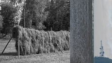 Seasons & Fake - fernisering