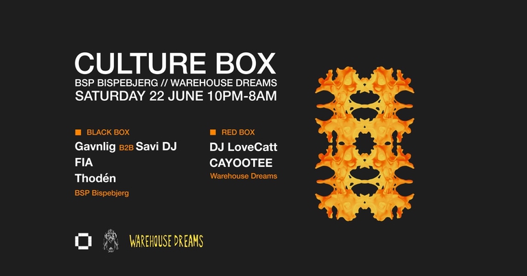 BSP Bispebjerg: Gavnlig B2B Savi DJ / FIA / Thodén / Warehouse Dreams: DJ LoveCatt / CAYOOTEE