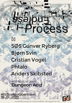 Endless Process // Label Night // SØS Gunver Ryberg ~ Bjørn Svin ~ Cristian Vogel ~ Phtalo ~ Anders