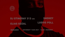 Hangaren Outdoor: DJ Stingray 313 (US), Smokey, Elias Gozal, Ludvig Poll