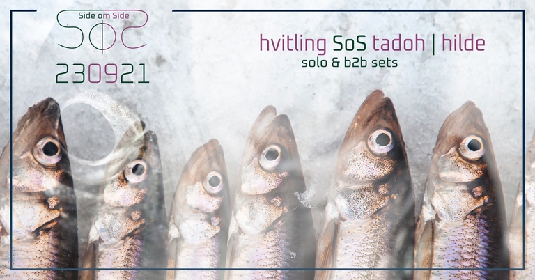 Side Om Side: taking off with нνιтℓιиg ::: Ved Siden Af