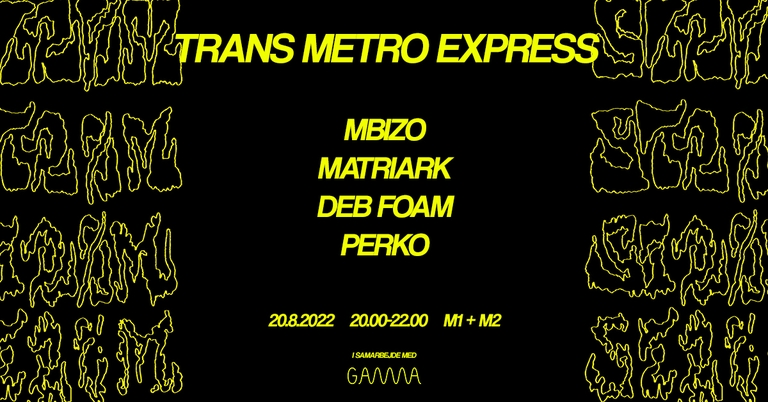 Trans Metro Express