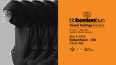 Boston Bun (FR) + B FROM E, Aleks BLC & Mester Jakobsen (upstairs) · Cecil AM, CPH
