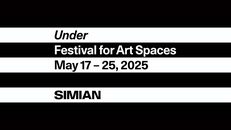 Opening: Under - Festival for Art Spaces